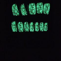Alternative view of Glow Daisy