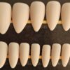 Soft Ivory